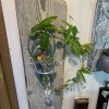 Glashorn-Vase